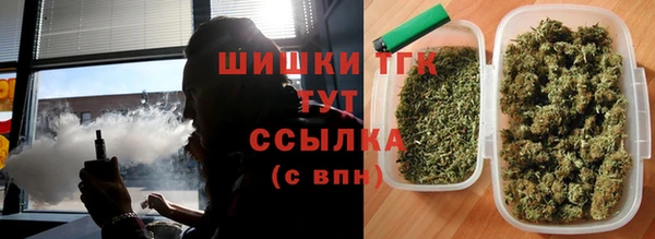 молекула духа Заволжск