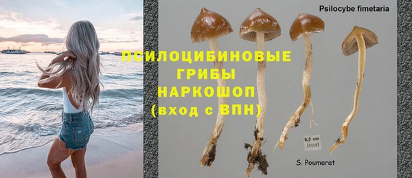 молекула духа Заволжск