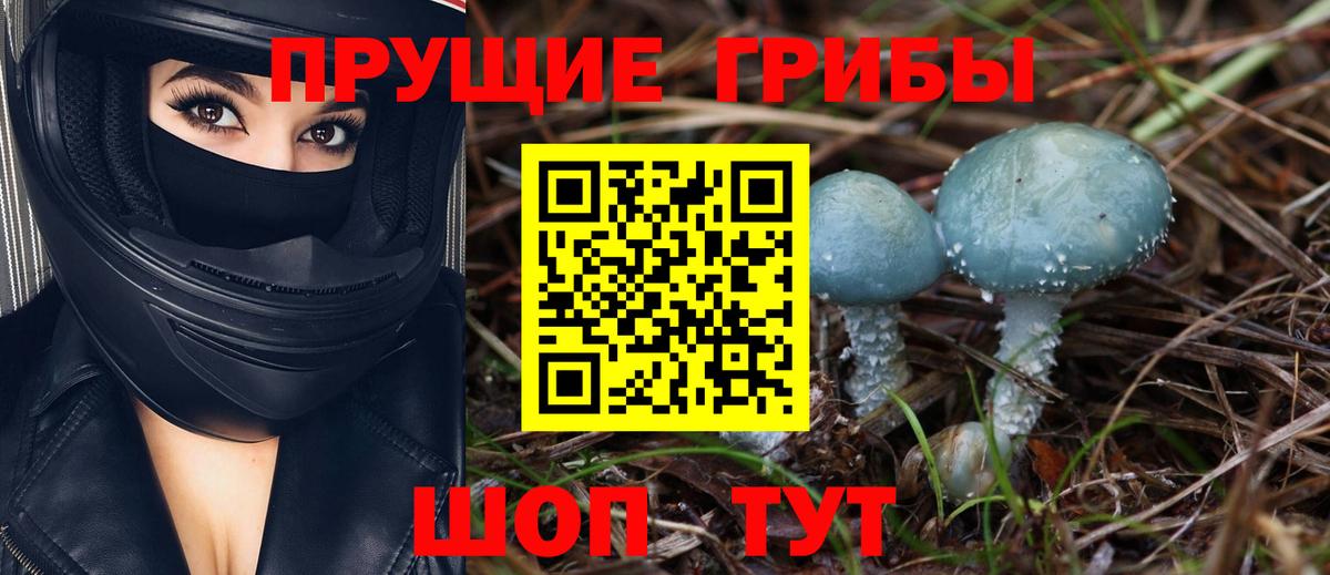  COCAIN Карабулак