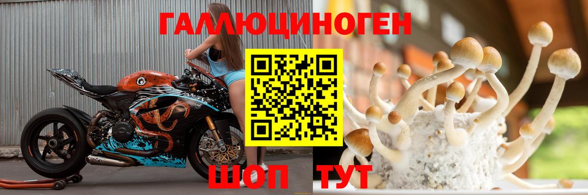 Псилоцибиновые грибы мухоморы  Вход с VPN  Псилоцибиновые грибы мухоморы  Карабулак 
